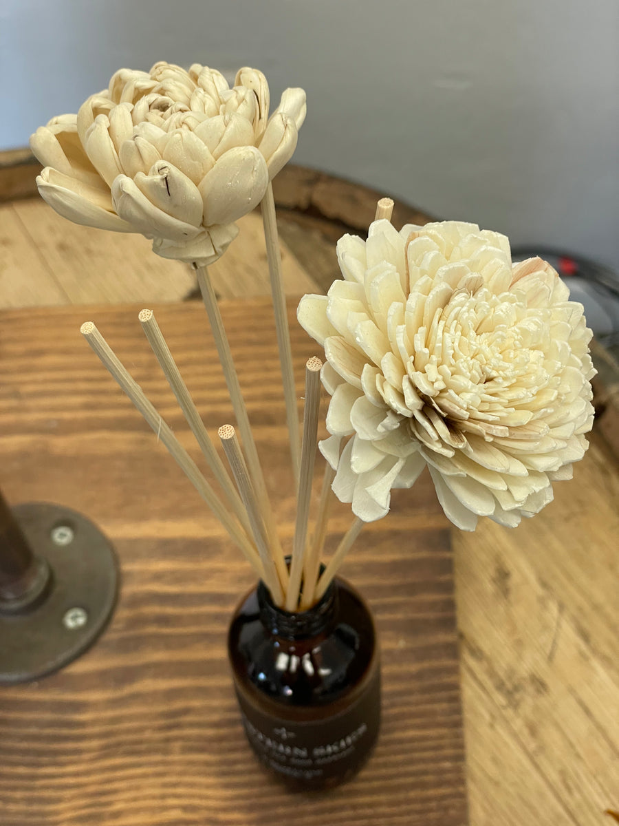 Fragrance Oil Reed Diffuser Just Peachy Double Wide Designs