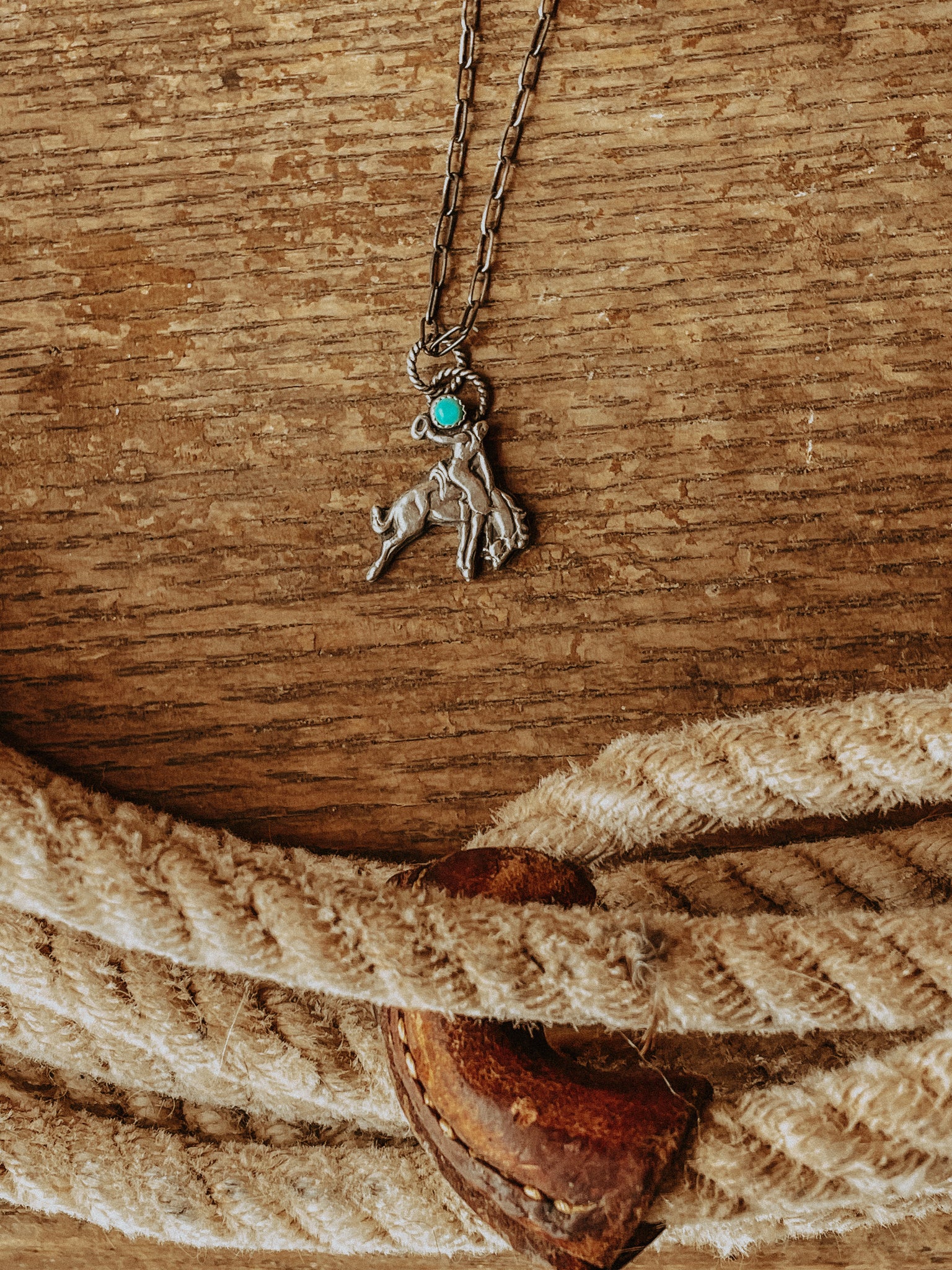 Moonlight Ride Necklace