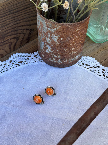 Spiny Oyster Studs