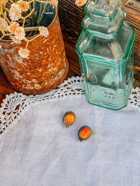 Spiny Oyster Studs