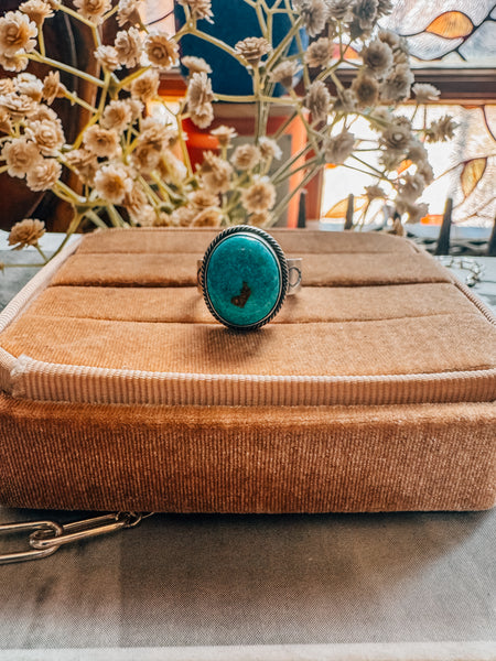 Roy Ring