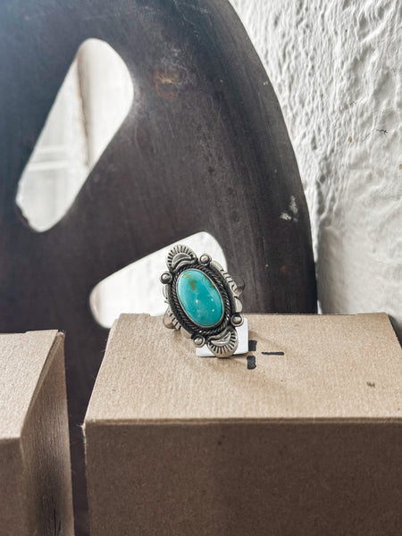 Dani Ring