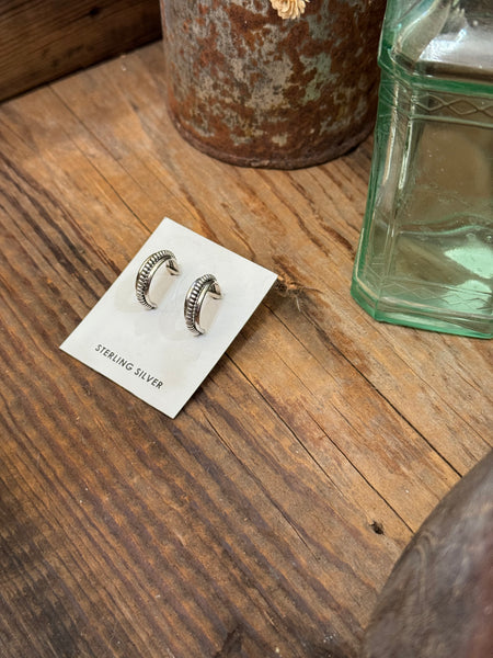 Silver Hoops