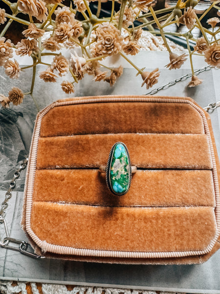 Eli Ring