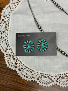 Zieta Begay Clusters