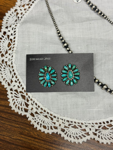 Zieta Begay Clusters