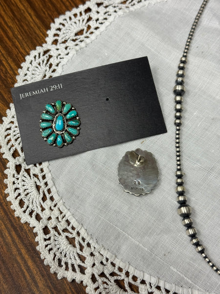 Zieta Begay Clusters