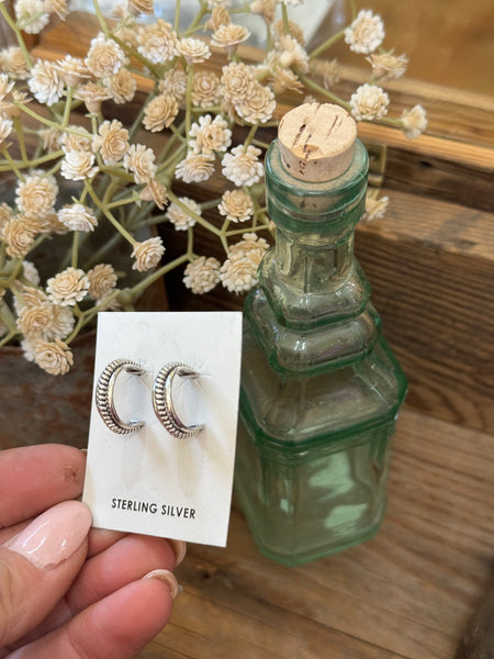 Silver Hoops