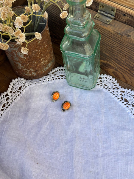 Spiny Oyster Studs