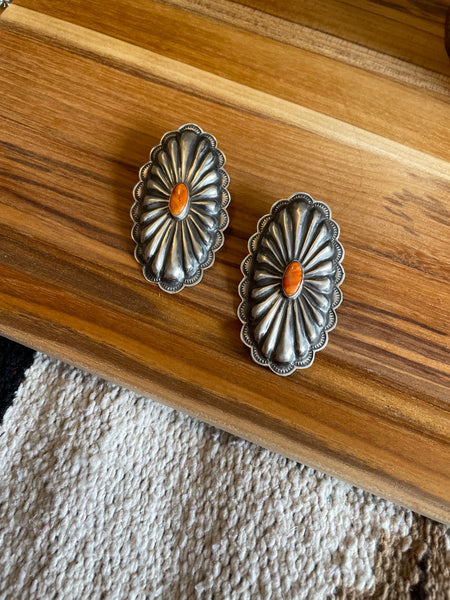 Spiny Conchos