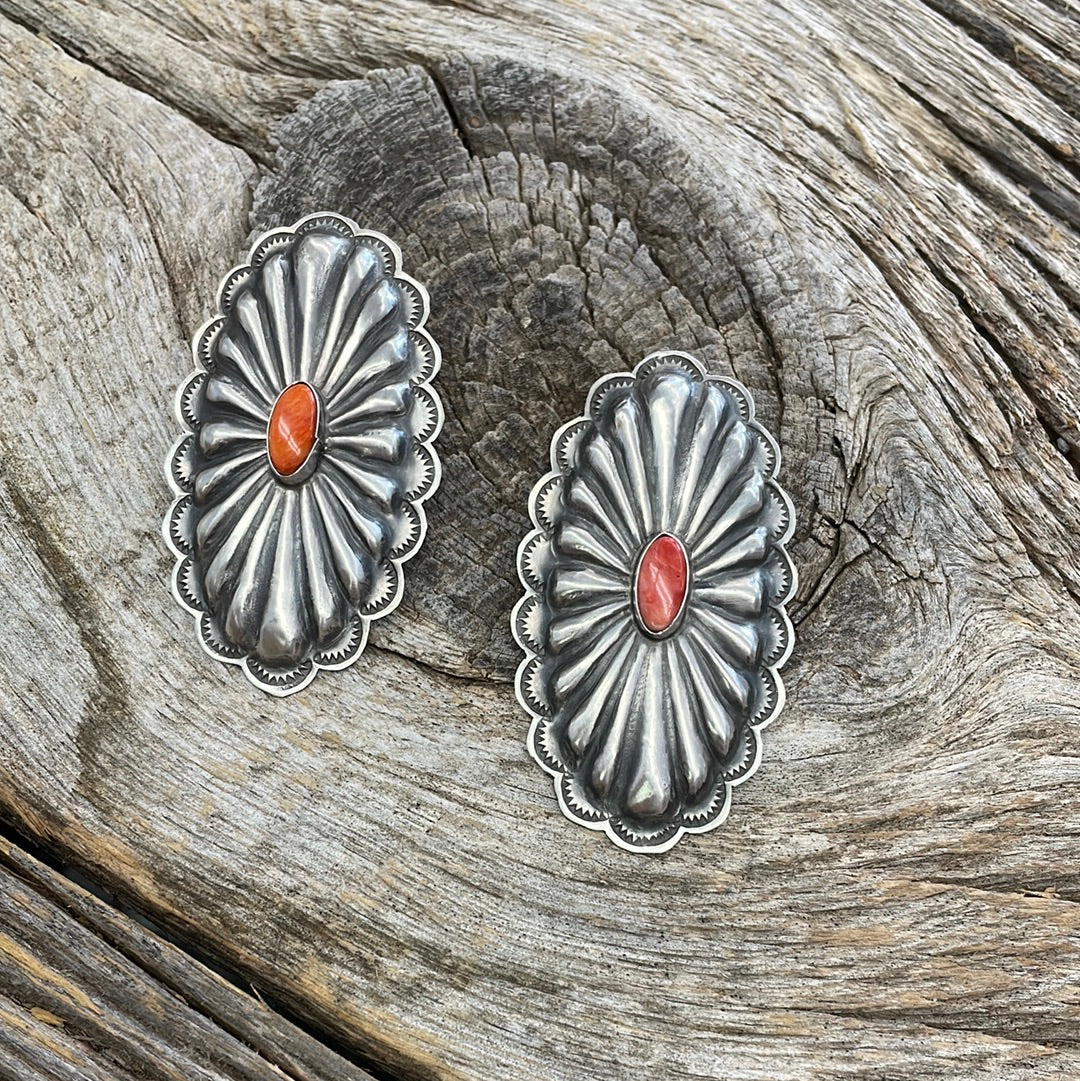 Spiny Conchos