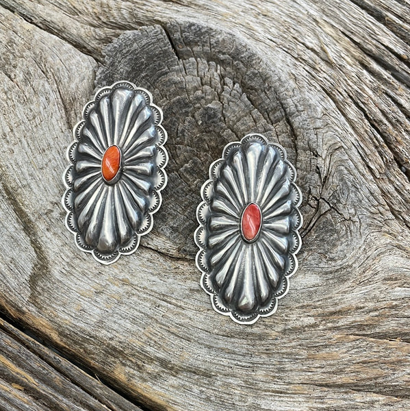 Spiny Conchos